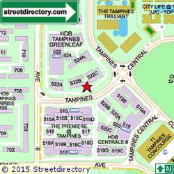 Blk 522B The Premiere @ Tampines (Tampines), HDB 5 Rooms #85303482